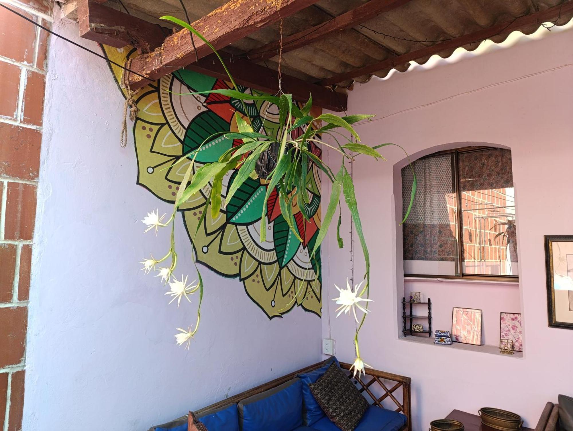 Casa Vieja Guest House Santa Ana Dış mekan fotoğraf